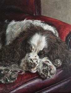 'The Painter's Dog Resting II', 2021. Oil-on-Linen, 40x50cm. NFS.